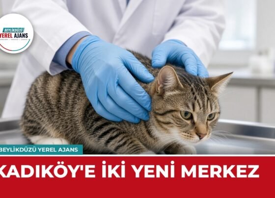 İBB, Kadıköy Hasanpaşa'da iki yeni merkezi hizmete açtı – temsili görsel