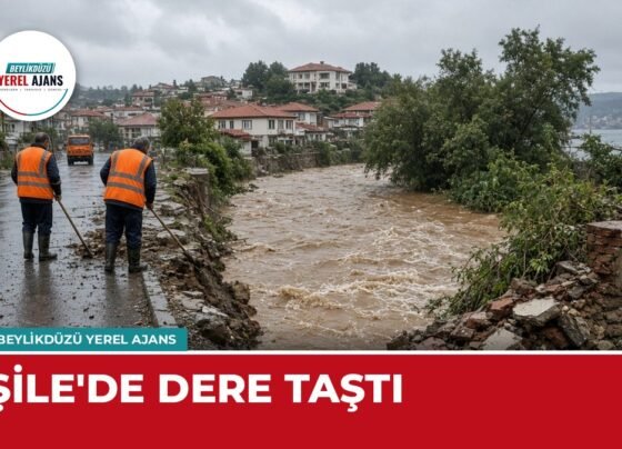 Şile'de Yeniköy Deresi taştı: Cadde sular altında, duvar yıkıldı – temsili görsel